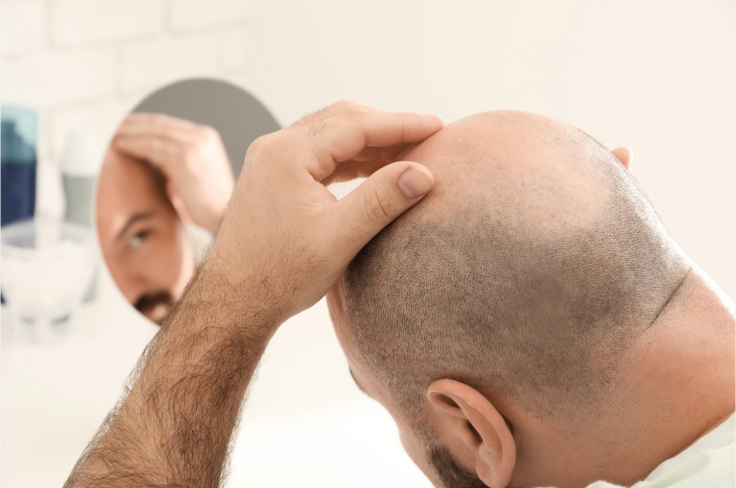 خدمات با کیفیت را با ما تجربه کنید